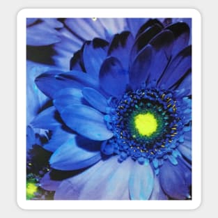 Big Bright Blue Flower Sticker